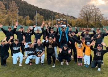 100 Innings Game
